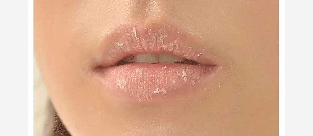 [각질순삭&매끈탱글]후르디아 블루베리 보습 허니 립밤10ml 상세페이지 17